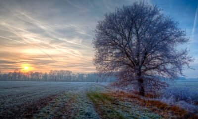 Hazardous Winter Landscape