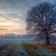 Hazardous Winter Landscape