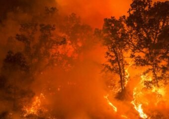 Mesa Colorado wildfire prevention fuel treatment