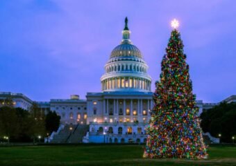 U.S. Capitol Christmas Tree
