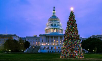 U.S. Capitol Christmas Tree