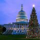 U.S. Capitol Christmas Tree
