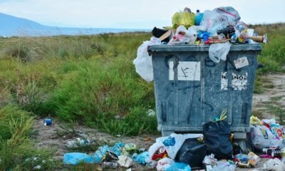 Why Securing Trash Loads Matters