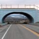 Wildlife crossing road Colorado tips