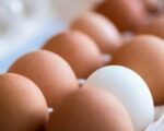 cage-free eggs Colorado, Colorado egg regulations