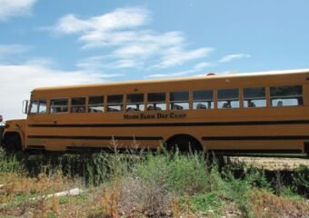 district 51 school buses grand junction colorado
