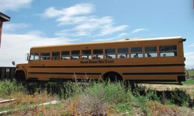 district 51 school buses grand junction colorado