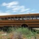 district 51 school buses grand junction colorado