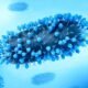 respiratory illness season in Colorado