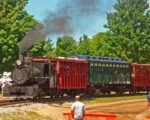 Annual Model Train Show Brings Joy Across