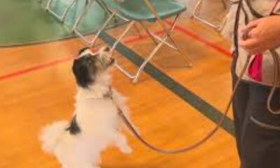 Grand Rivers Humane Society Celebrates