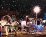 Horse-Drawn Carriage Rides Bring Holiday Magic