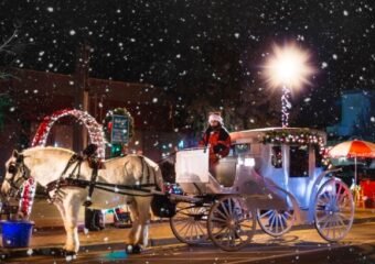 Horse-Drawn Carriage Rides Bring Holiday Magic