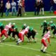 Montrose High School football state championship 2024