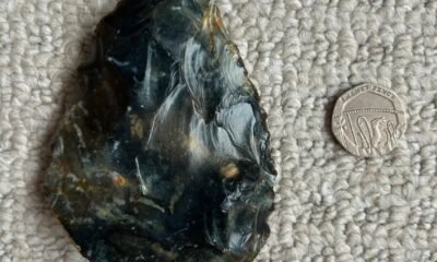 Neanderthal hand ax Sussex Beach discovery