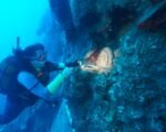 Türkiye shipwreck, ceramic plates underwater