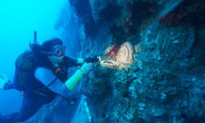 Türkiye shipwreck, ceramic plates underwater