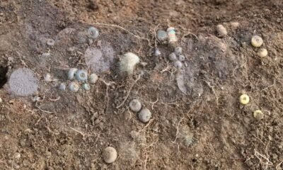 Viking graves, Norway archaeology