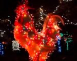 fruita parade of lights holiday festival downtown 2024