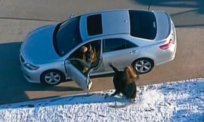 High-speed chase Garfield County Colorado law enforcement stop sticks