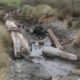 Moriori canoe, waka Chatham Island, New Zealand cultural discovery