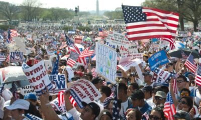 immigration, rights activism