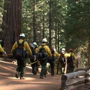 National Park Service Seeks Public Input on Updated Fire Management Plan