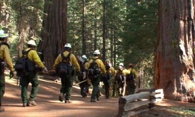 national-park-service-fire-management
