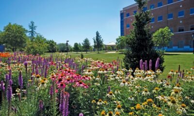 Colorado Mesa University pollinator garden