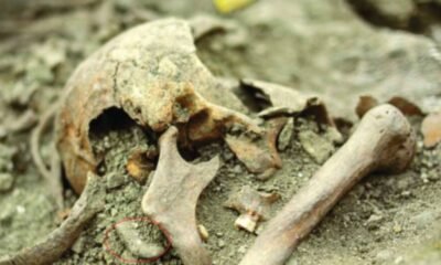 Croatian medieval vampire burial site