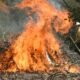 Mesa County air quality no burn advisory February 2025