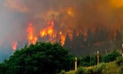 Western Colorado wildfire risk