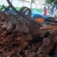 World War 2 weapons buried in Japan