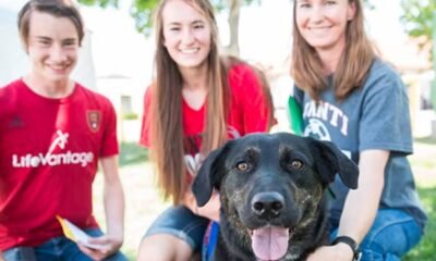 animal shelter fundraiser event