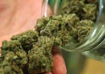 cannabis dispensary recall Colorado