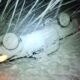 loveland pass avalanche car flipped