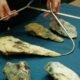 prehistoric stone tools excavation UAE