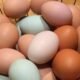 rising-egg-prices-restaurant-costs