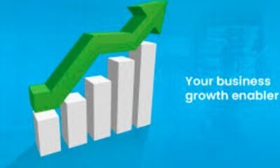 A Surge in Business Growth