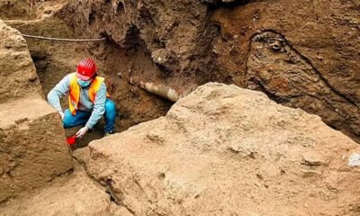 Ancient Roman dog remains excavation Velzeke Belgium