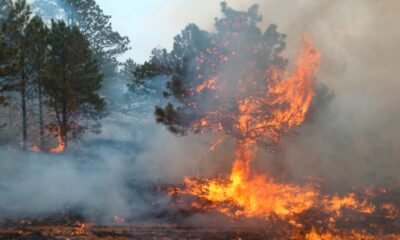 Fort Carson wildfire aftermath