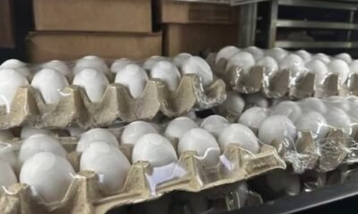 Fort Wayne bakery egg shortage