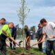 Fort Wayne tree planting program