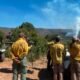 Mesa County controlled burn site