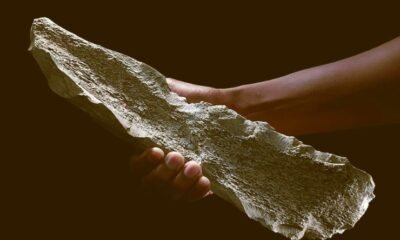 Olduvai Gorge prehistoric bone tools