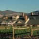 Palisade Colorado tourism hotels