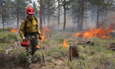 controlled burn safety in Colorado