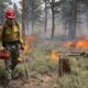 controlled burn safety in Colorado