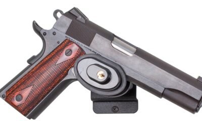 gun safety lock device