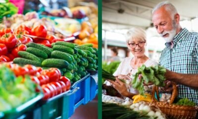 mesa county snap benefits application